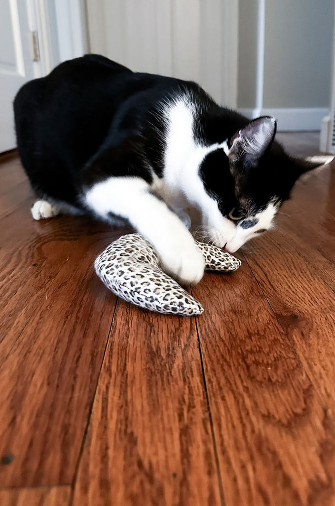 Cat playing with leopard print catnip toy by Miakoda. 