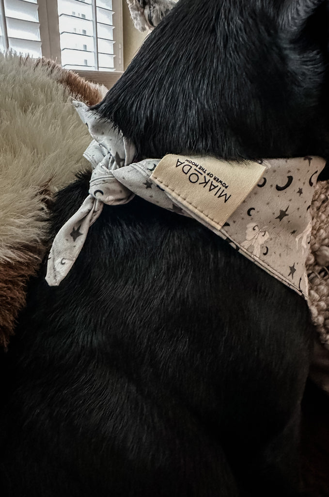 Dog wearing grey print bandana by Miakoda. 