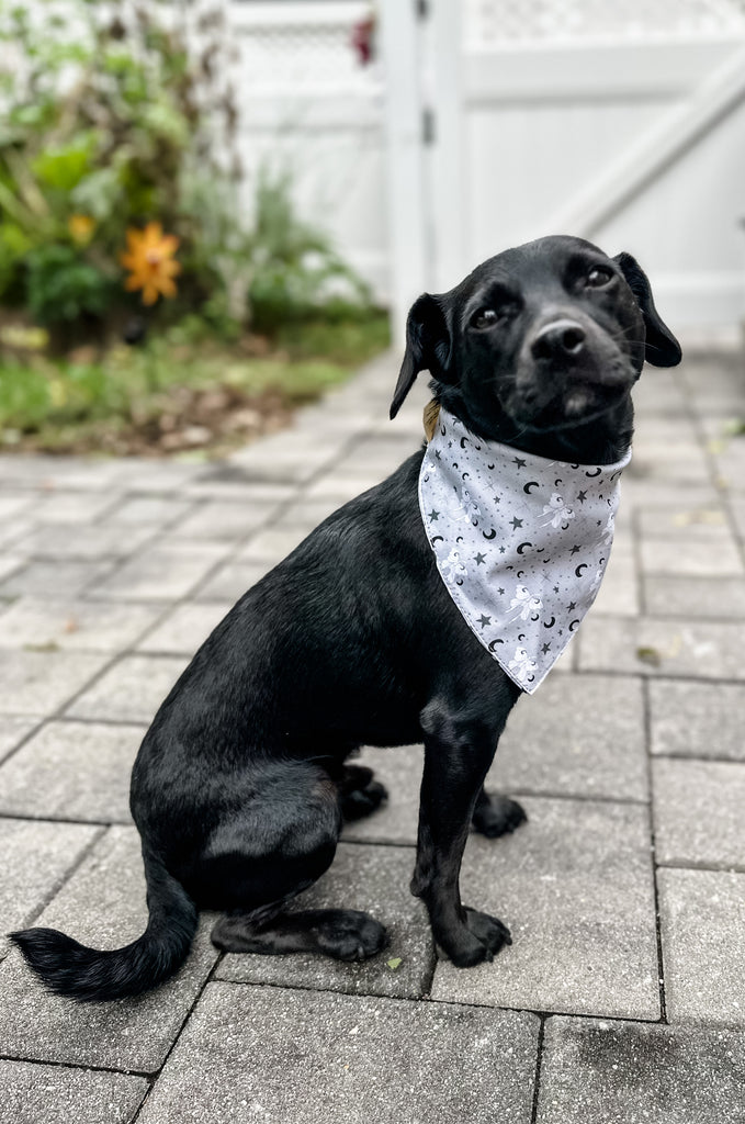 Dog wearing grey print bandana by Miakoda. 